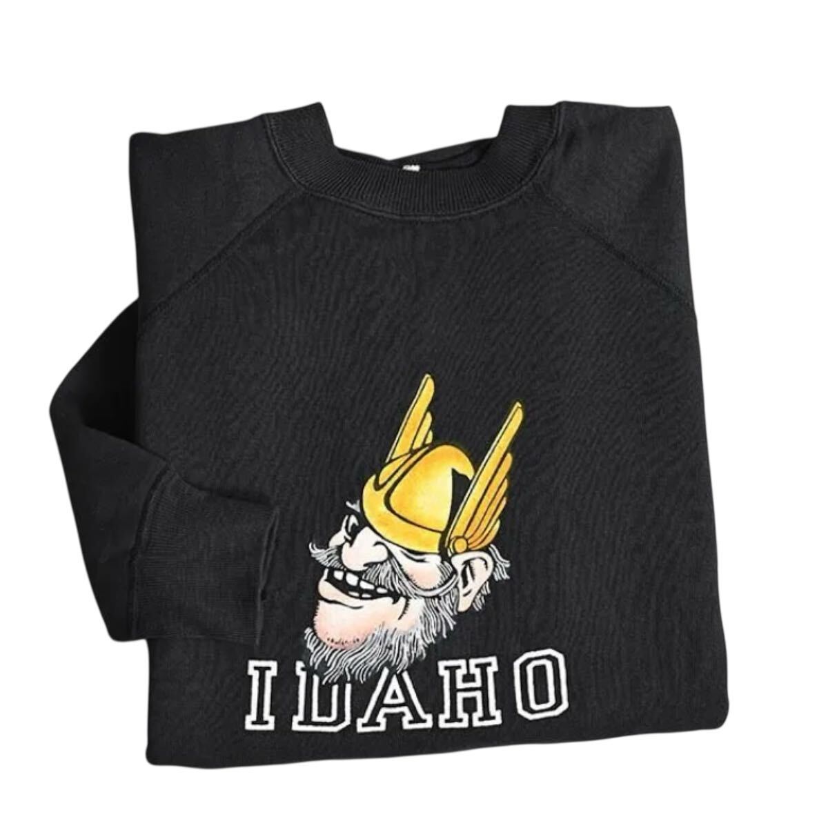 超希少&BIGサイズ!VTG 1960’s IDAHO COLOR FLOCK PRINT L/BLACK BODY SWEATSHIRT MINT USAビンテージカラーフロッキーブラックスウェット_画像2