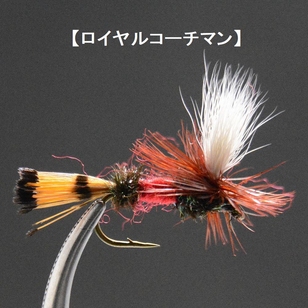  dry fly pala Shute рекомендация 10шт.@#14 образец комплект fly fly рыбалка введение 