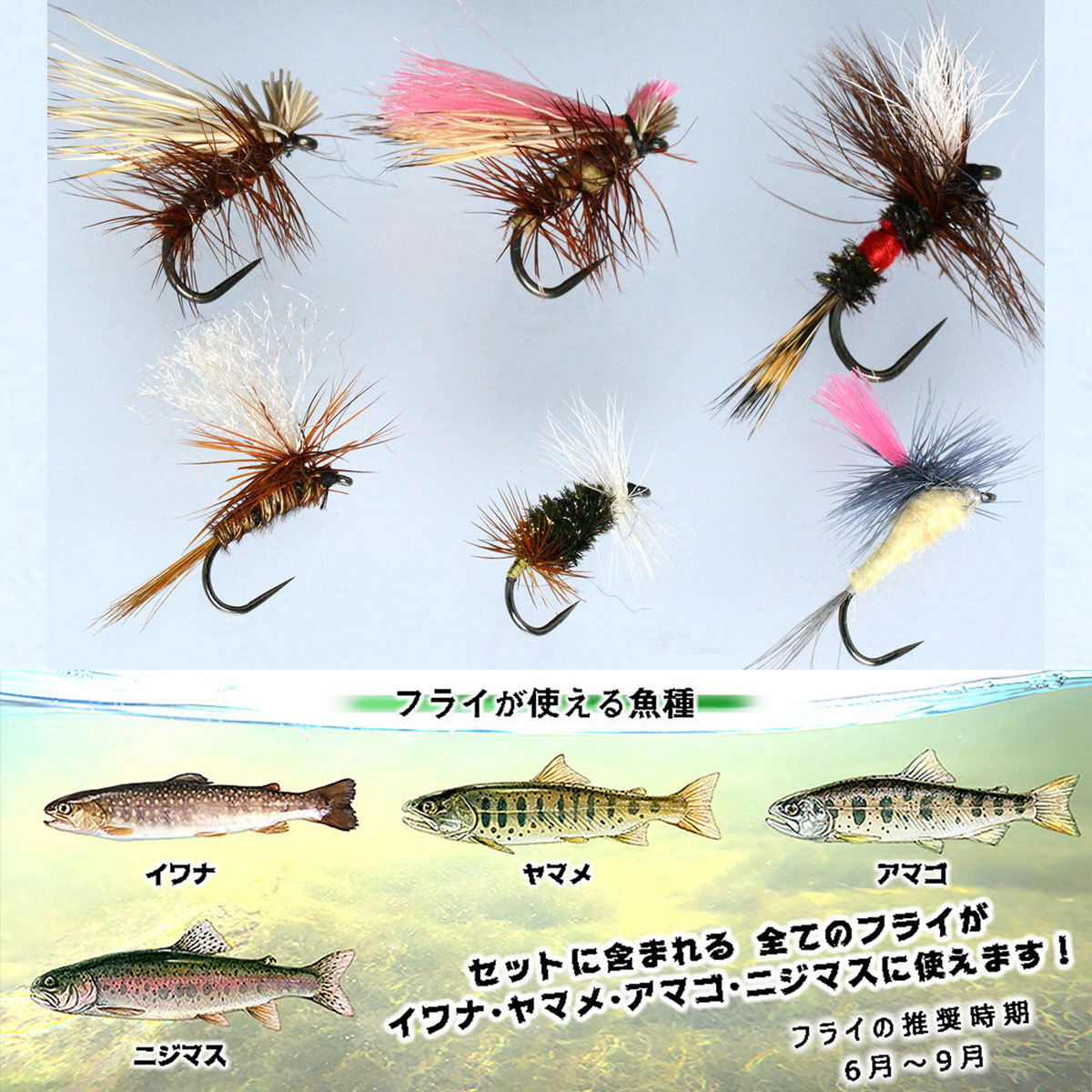  популярный комплект 6шт.@ dry fly балка bdopala Shute katis Wolf подарок искусственная приманка 