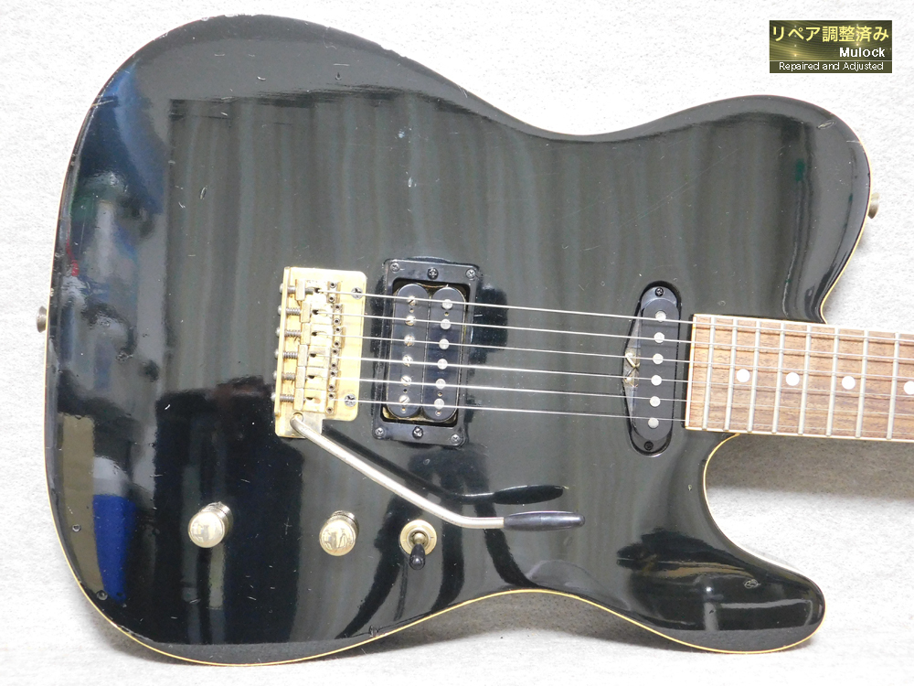 FERNANDES TEJ-55G 布袋モデルタイプ_画像1