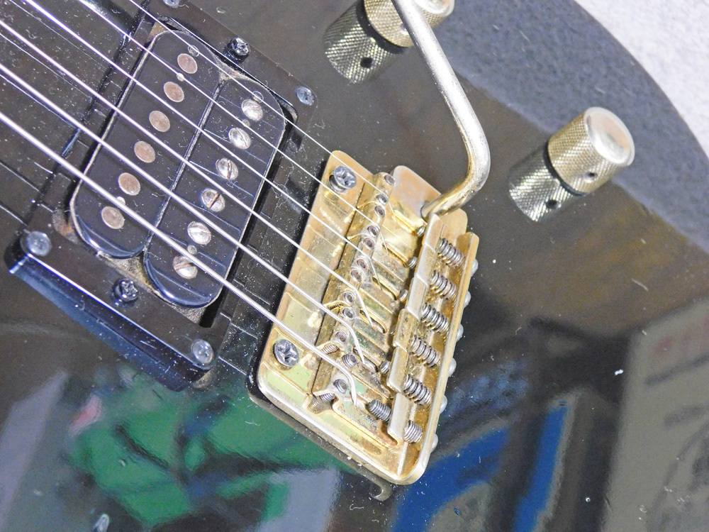 FERNANDES TEJ-55G 布袋モデルタイプ_画像2