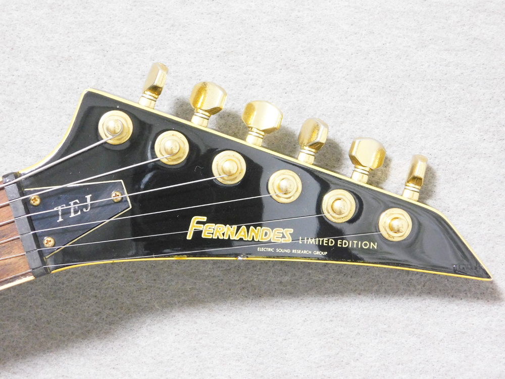 FERNANDES TEJ-55G 布袋モデルタイプ_画像3
