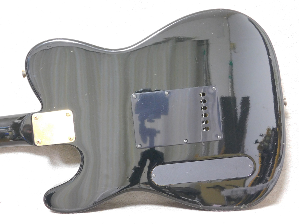 FERNANDES TEJ-55G 布袋モデルタイプ_画像6