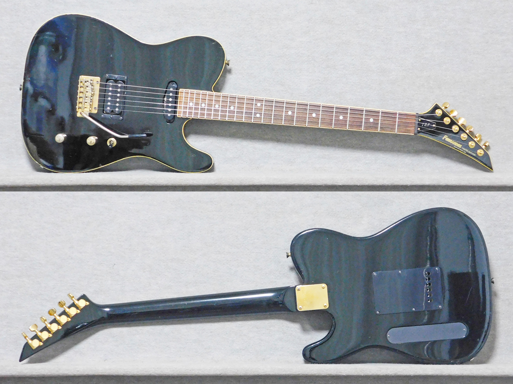 FERNANDES TEJ-55G 布袋モデルタイプ_画像7