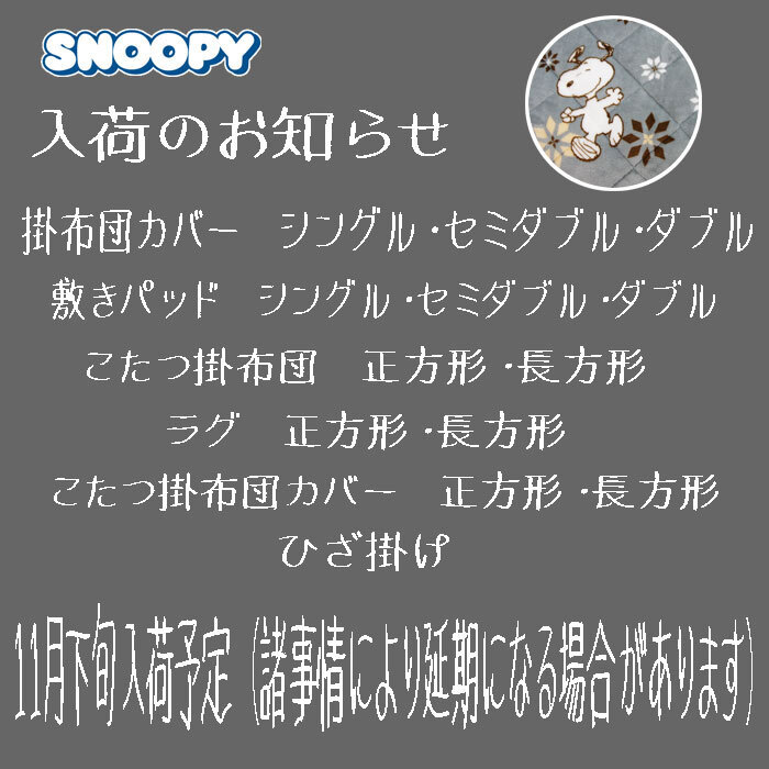 送料無料（北海道、沖縄は1500円別途）スヌーピー 掛布団 シングルサイズ 約150×200cm SNOOPY 秋冬 あったか グレー_画像2