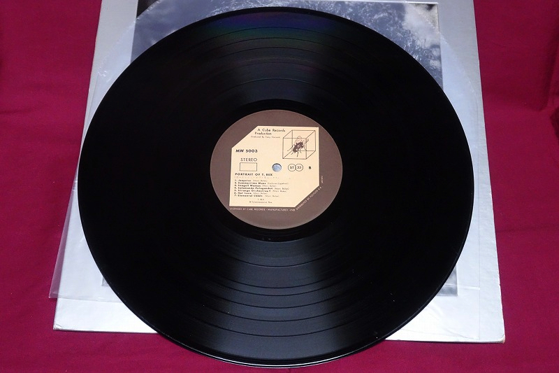 帯付 T. Rex / ポートレイト・オブ T・レックス Tyrannosaurus Rex 日本企画盤 初期ベスト アシッド・フォーク サイケ_画像9