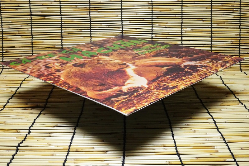 インド・レアグルーヴ 名盤 Ananda Shankar / Sa-Re-Ga Machan サイケ エクスペリメンタル モーグ Sitar モンド シタール・ファンク_画像3