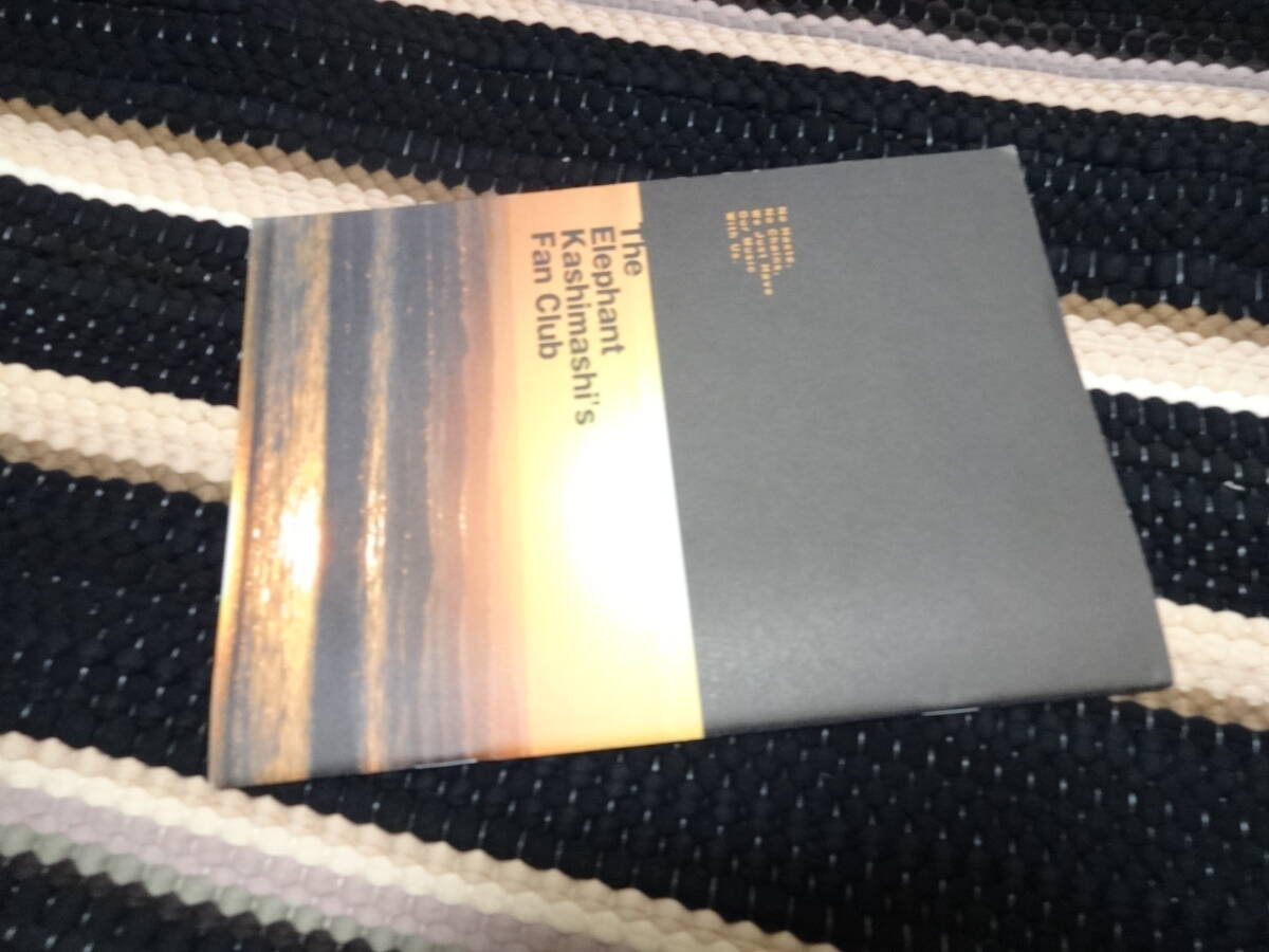 エレファントカシマシ　ファンクラブ会報　PAO26 　FC_画像7