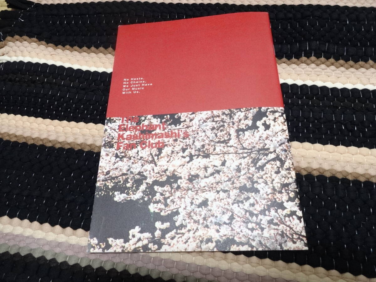 レファントカシマシ　ファンクラブ会報　PAO　27　FC_画像6