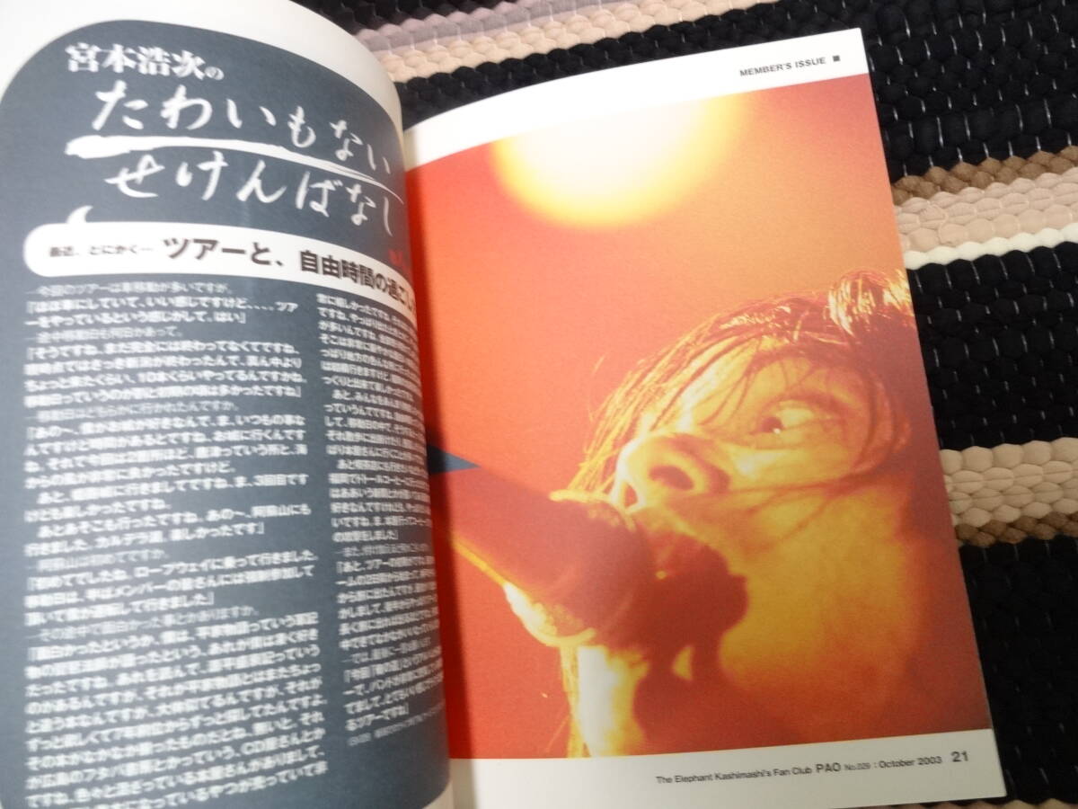 エレファントカシマシ　ファンクラブ 会報　PAO 29　FC_画像5