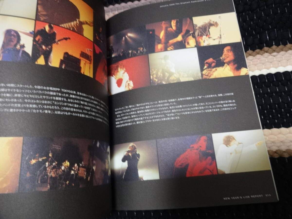 エレファントカシマシ　ファンクラブ 会報　PAO 　FC 非売品　38_画像2