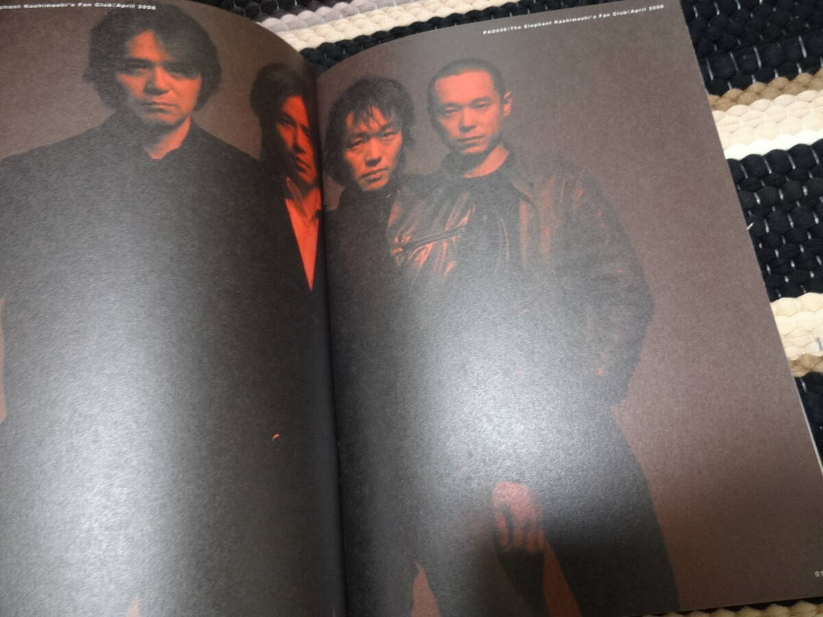 エレファントカシマシ　ファンクラブ 会報　PAO 　FC 非売品　39_画像3