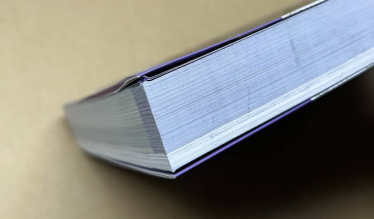 ドラゴンクエスト11s 新たなる旅立ちの書　中古　攻略本_画像2