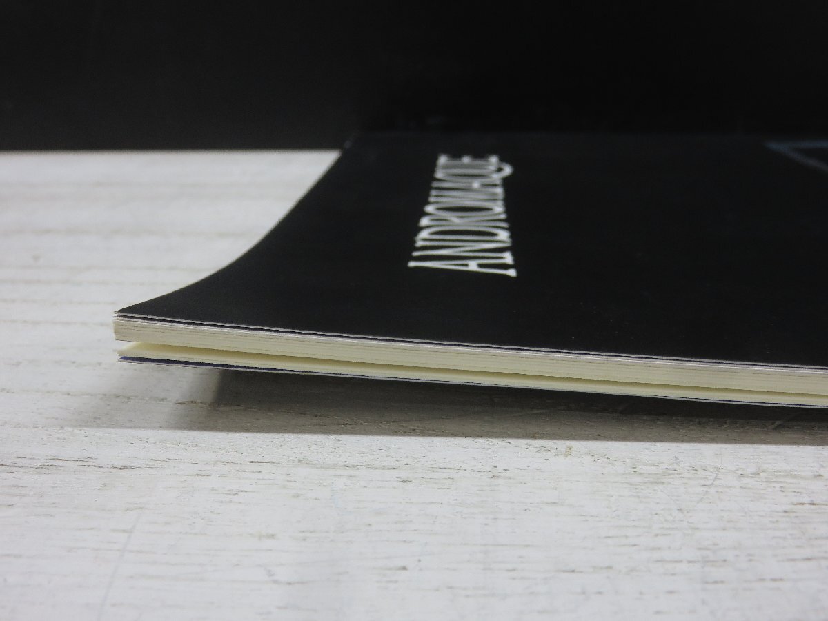 【中古】劇団四季パンフレット　アンドロマック_画像4