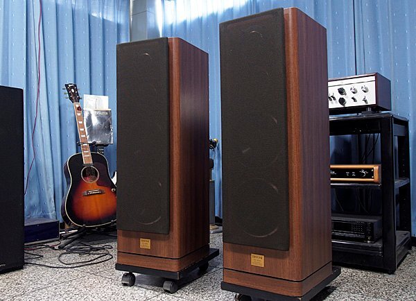 DIATONE DS-1000C ♪煌びやかさと深みある量感の銘システム♪【FURUTECH FP-803(R) SPターミナル交換・ケア済／美品】_画像2