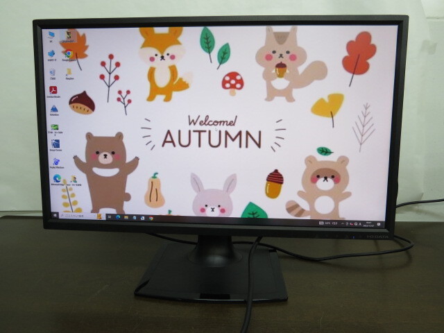 PCモニター23.8インチ液晶ディスプレイI.O DATA【LCD-AD243EDSB】フルHD(1920×1080)ノングレア 入力端子DVI,D-SUB通電確認済1107-06_画像1