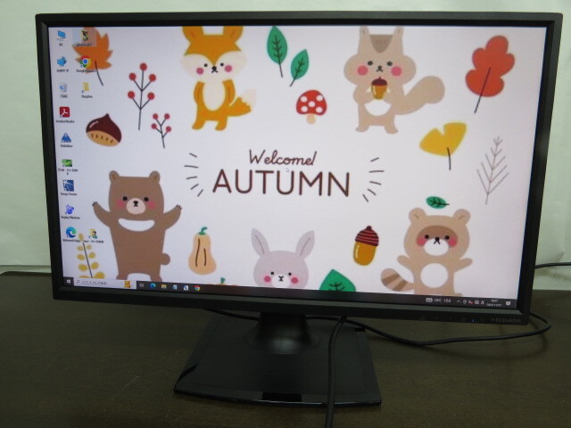 PCモニター23.8インチ液晶ディスプレイI.O DATA【LCD-AD243EDSB】フルHD(1920×1080)ノングレア 入力端子DVI,D-SUB通電確認済1107-06_画像2