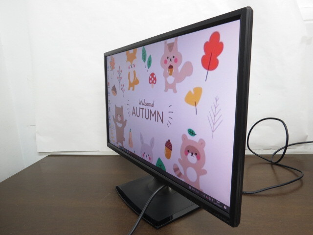 PCモニター23.8インチ液晶ディスプレイI.O DATA【LCD-AD243EDSB】フルHD(1920×1080)ノングレア 入力端子DVI,D-SUB通電確認済1107-06_画像4