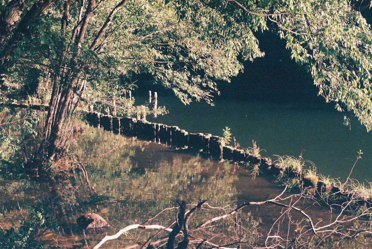 FUJIFILM 業務用 記録用カラーフィルム ISO100 24枚撮り 10本 1PACK 有効期限 2021.01 表記_画像4