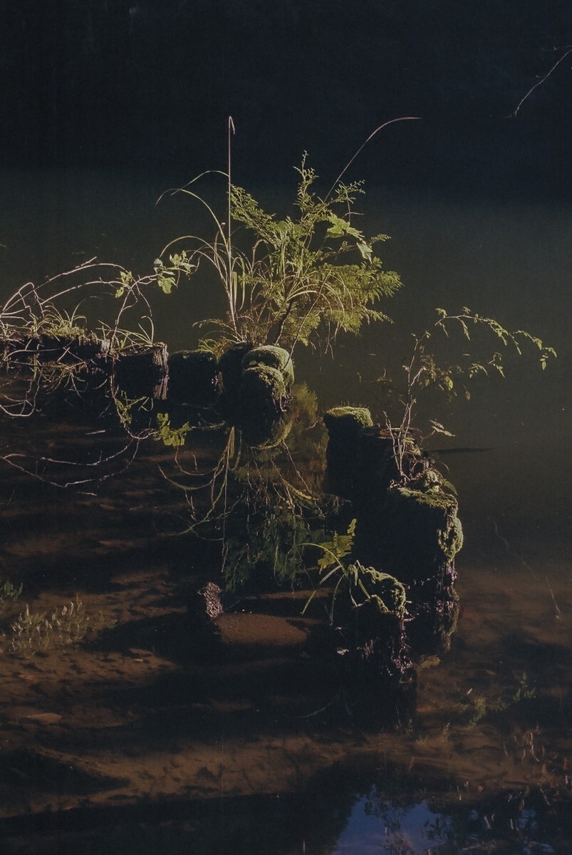 FUJIFILM 業務用 記録用カラーフィルム ISO100 24枚撮り 10本 1PACK 有効期限 2021.01 表記_画像5