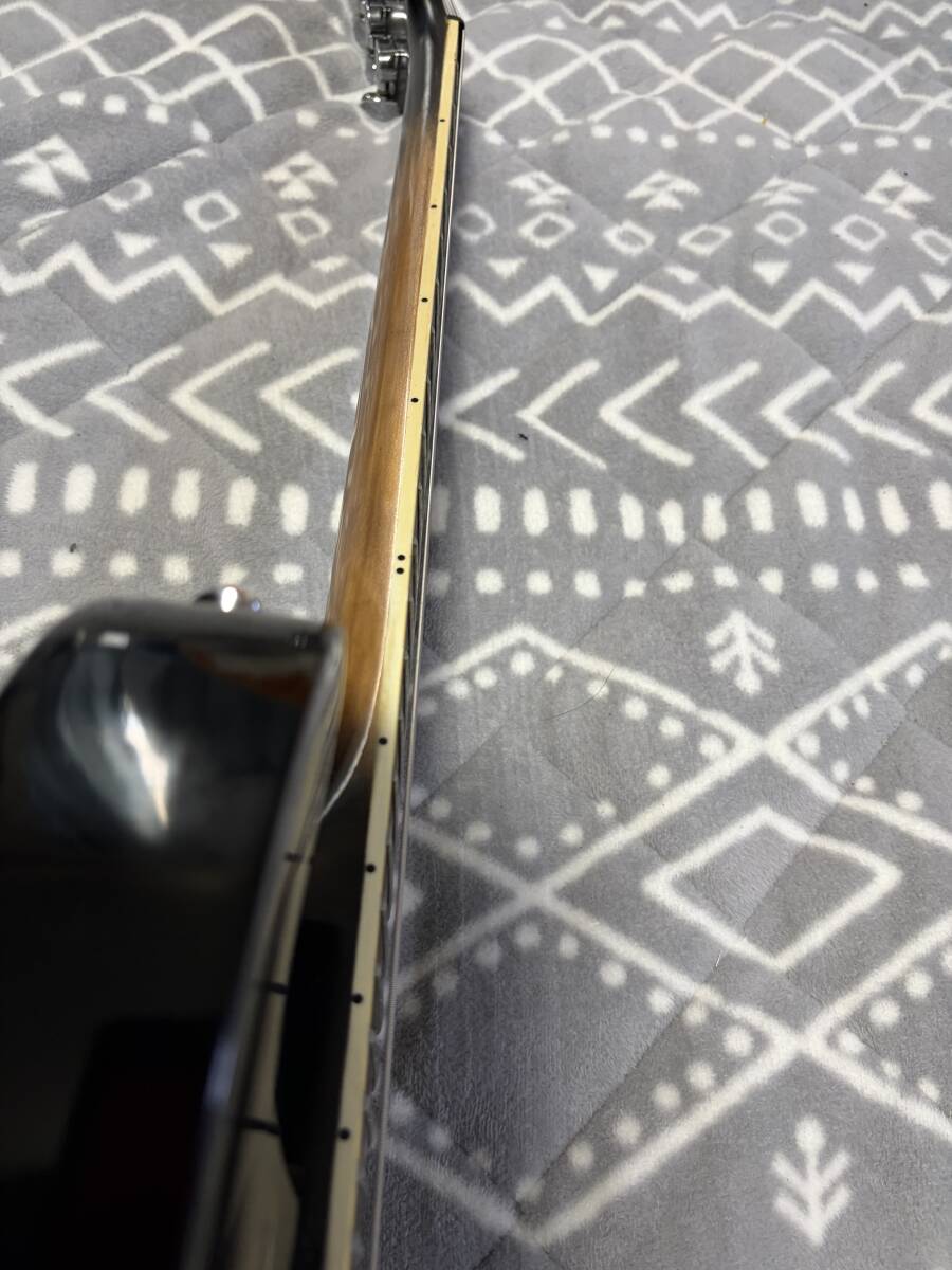 フェルナンデス　APGシリーズ改造品_画像5