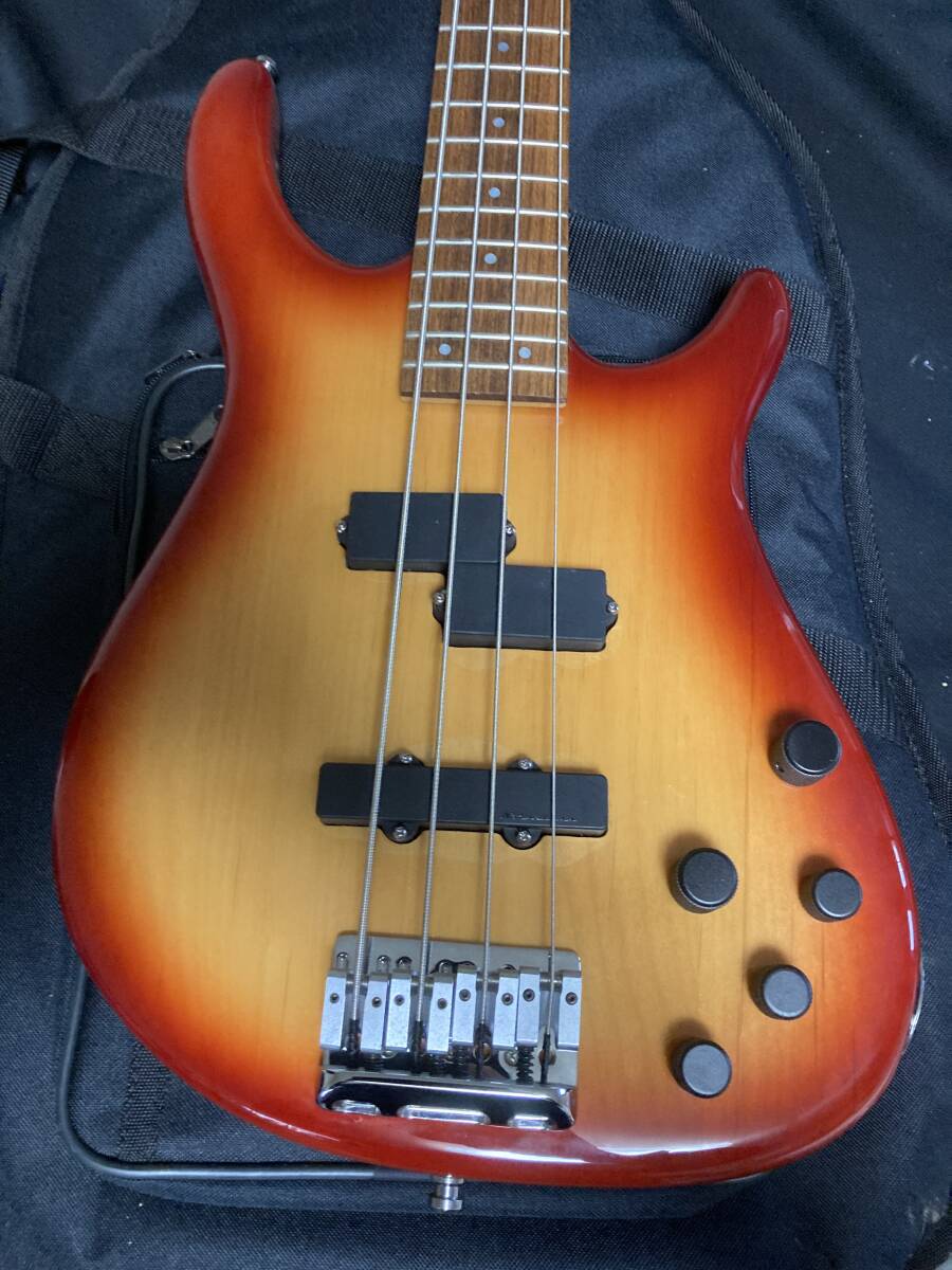 fender Deluxe Zone Bass_画像2