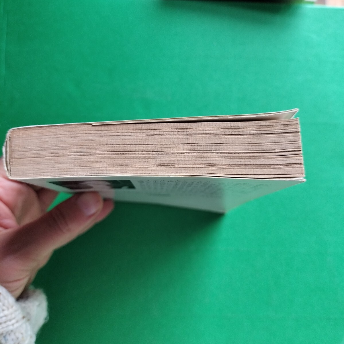 южные моря. лабиринт Desmond *ba Gree i. склон Kiyoshi перевод