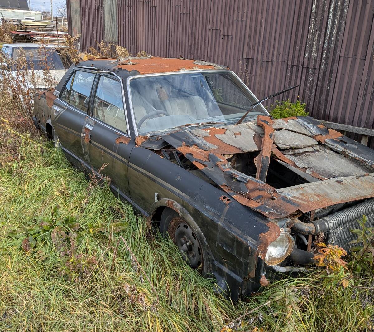 Hokkaido! свинья глаз Mark 2 снятие деталей Hokkaido! свинья глаз Mark 2 снятие деталей