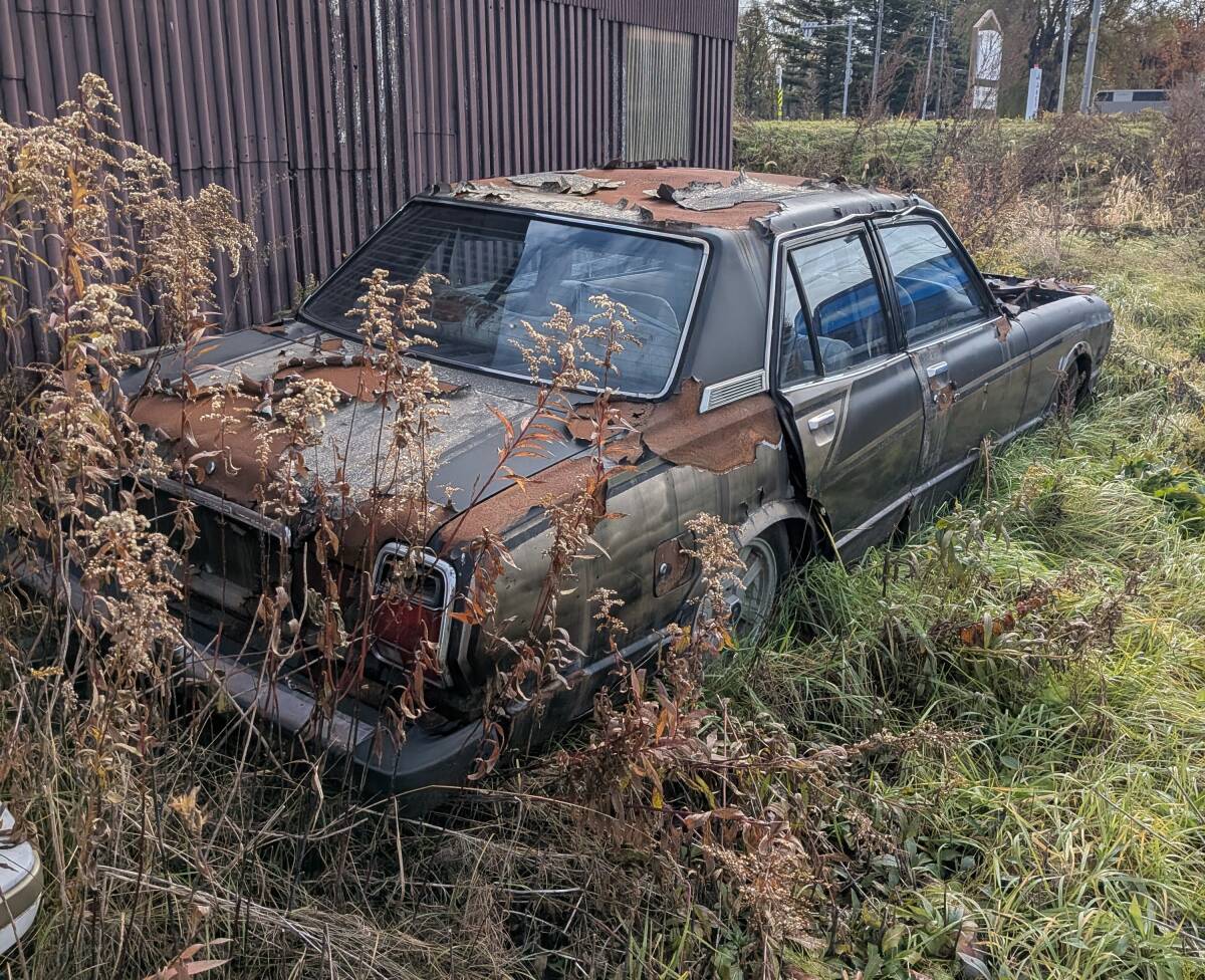  Hokkaido! свинья глаз Mark 2 снятие деталей 