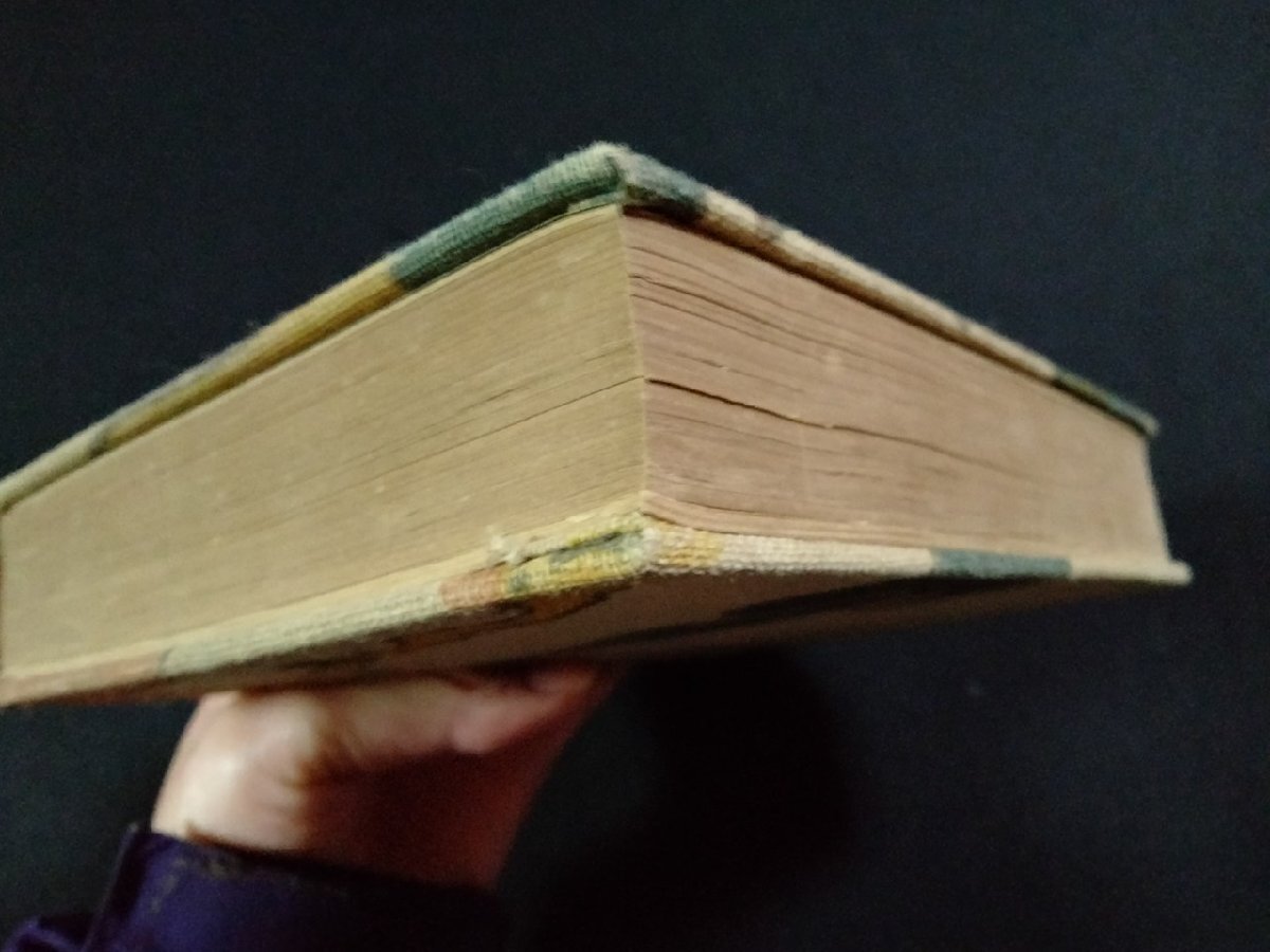 ｖ●●　大正期　金剛草　夏目金之助（夏目漱石）　至誠堂　大正6年4版　古書/D01_画像5