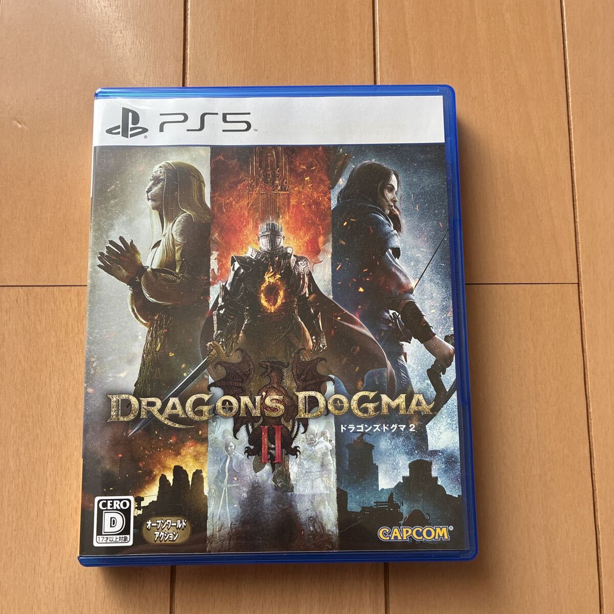 ドラゴンズドグマ2_画像1