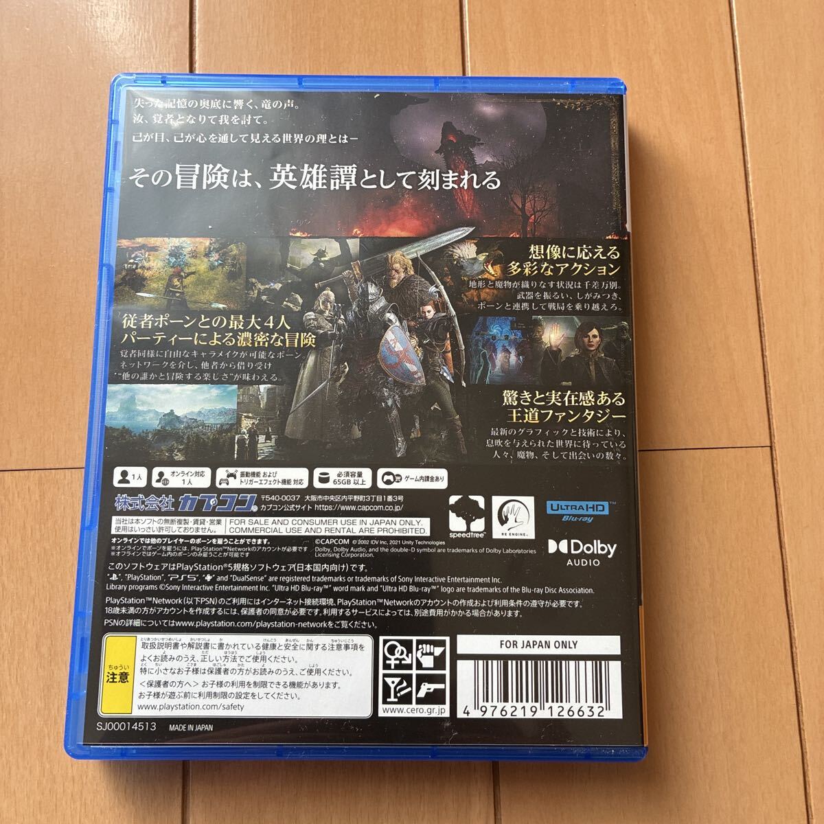 ドラゴンズドグマ2_画像2