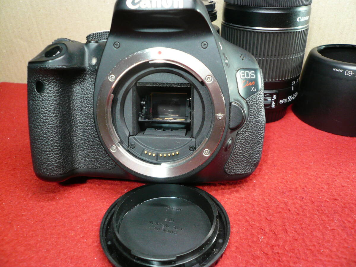 CANON EOS Kiss X5 ( примерно 1800 десять тысяч пикселей )+ двойной IS zoom (55mmISⅡ+250mmISⅡ). б/у товар (5498 Schott ) все, получен . сразу можно использовать 