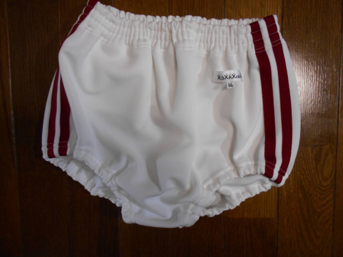 Ａｒａｋａｗａのエンジライン入りホワイトブルマー（LL)_画像1