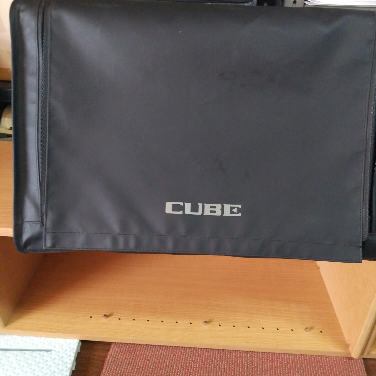 Roland CUBE streetEX