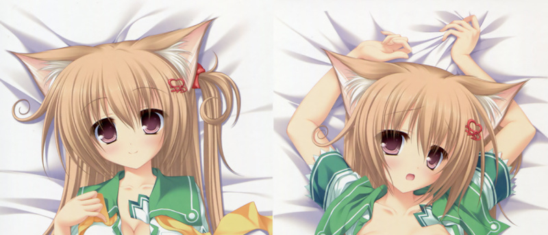 Whirlpoolwa-ru бассейн ..*..! дракон . прекрасный . вода зеркало ... Dakimakura покрытие стандартный товар б/у товар бесплатная доставка 