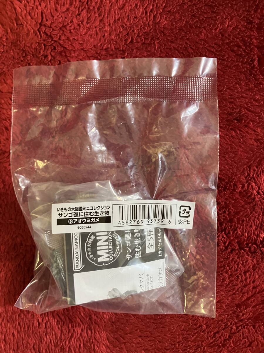 未開封 アオウミガメ いきもの大図鑑ミニコレクション サンゴ礁の生き物_画像2