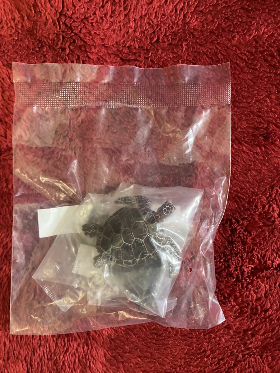 未開封 アオウミガメ いきもの大図鑑ミニコレクション サンゴ礁の生き物_画像3