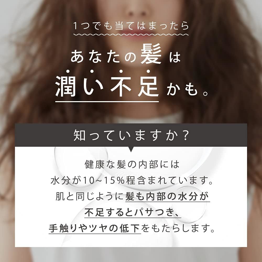 未使用 SALONIA サロニア トリートメント ミストドライヤー 大風量 速乾 マイナスイオン コンパクト 軽量 頭皮ケア パワフル SAL21102WH_画像7