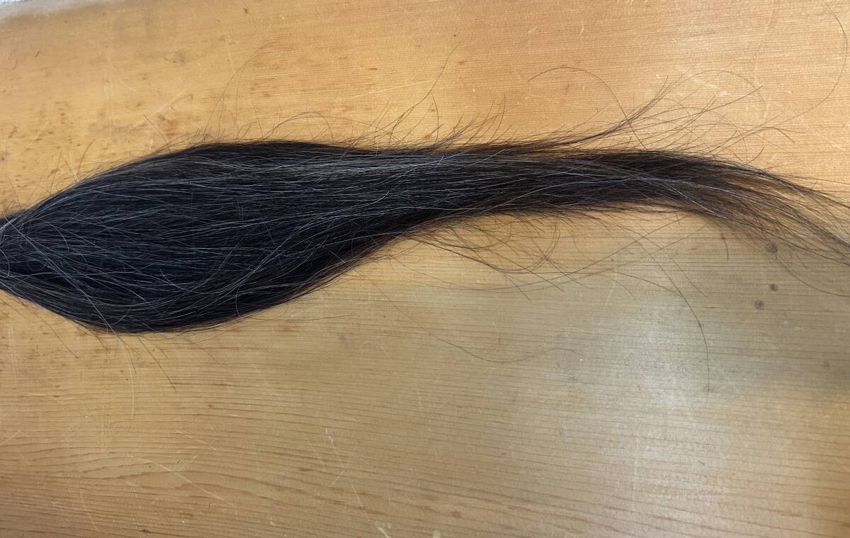 ヘアドネーション　医療用　ウィッグ　かつら　カツラ　52g_画像2