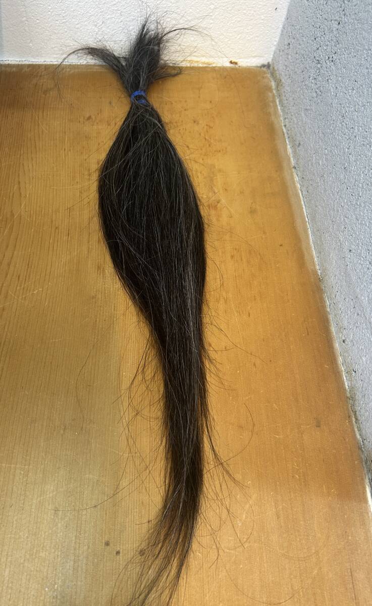 ヘアドネーション　医療用　ウィッグ　かつら　カツラ　52g_画像1