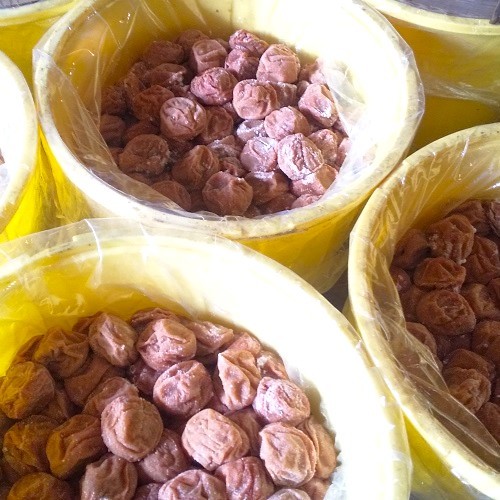 無添加 紀州南高梅 しそ漬け梅 1kg 完熟梅 梅干し 昔ながらの甘くない梅干し_画像3