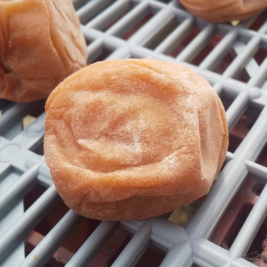 無添加 紀州南高梅 しそ漬け梅 1kg 完熟梅 梅干し 昔ながらの甘くない梅干し_画像4