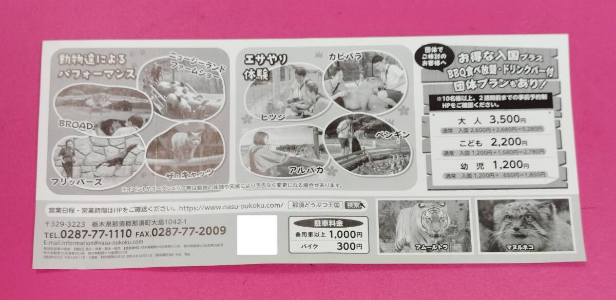 ...... королевство специальный купон льготный билет полцены талон 5 человек до 