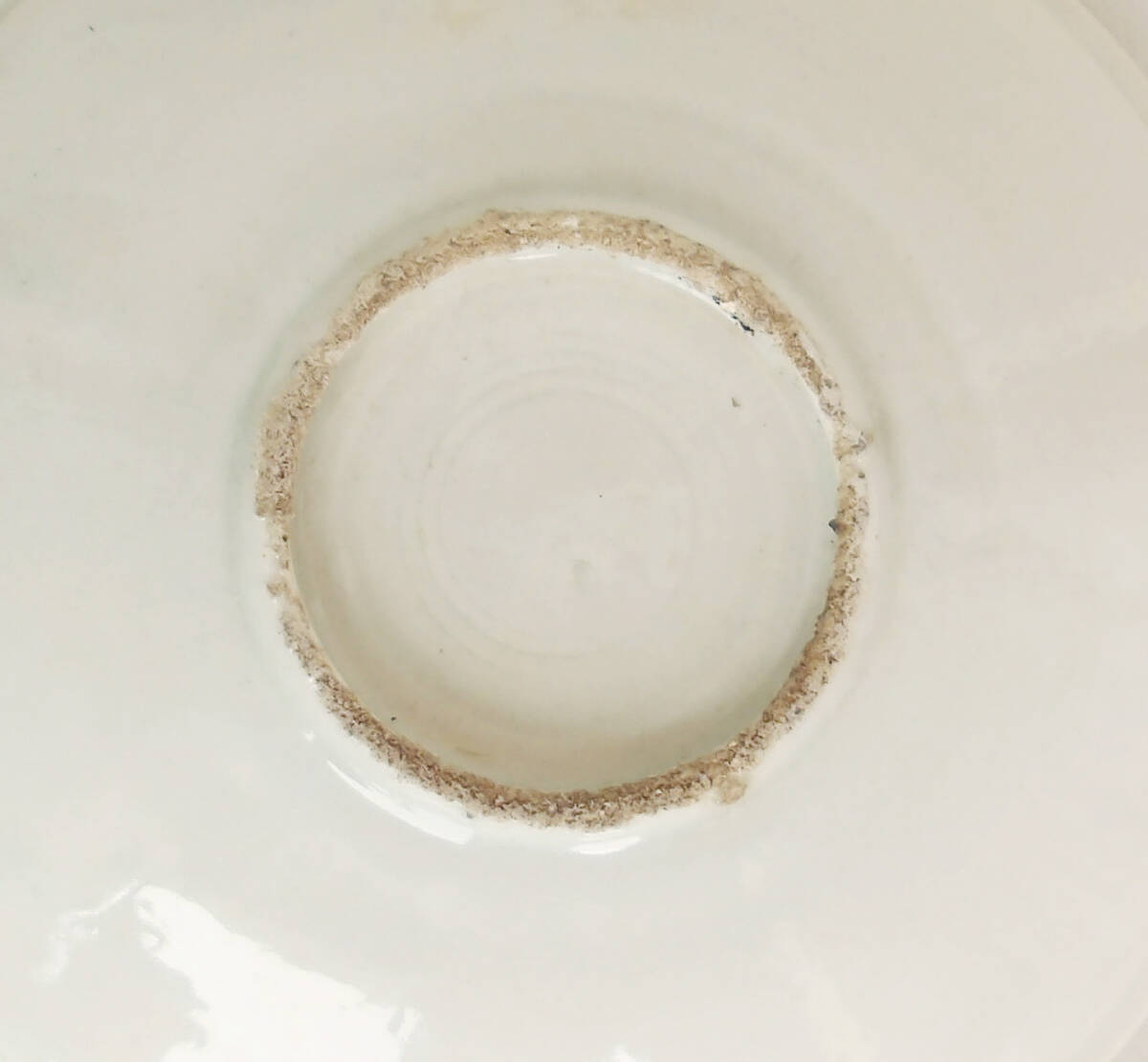 染付　風景と鳥の図　中皿_画像8