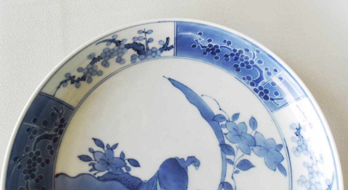 染付 花鳥の図 中皿_画像4