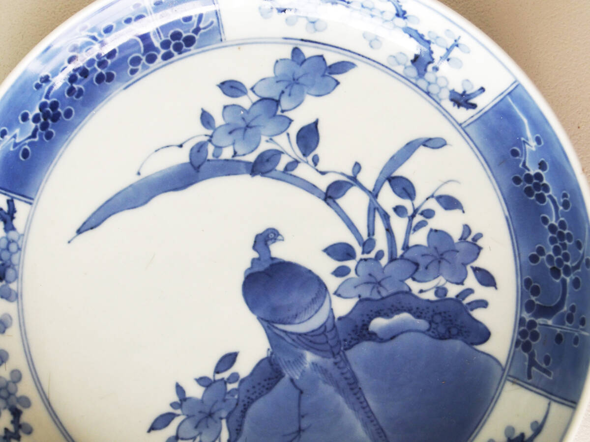 染付 花鳥の図 中皿_画像2