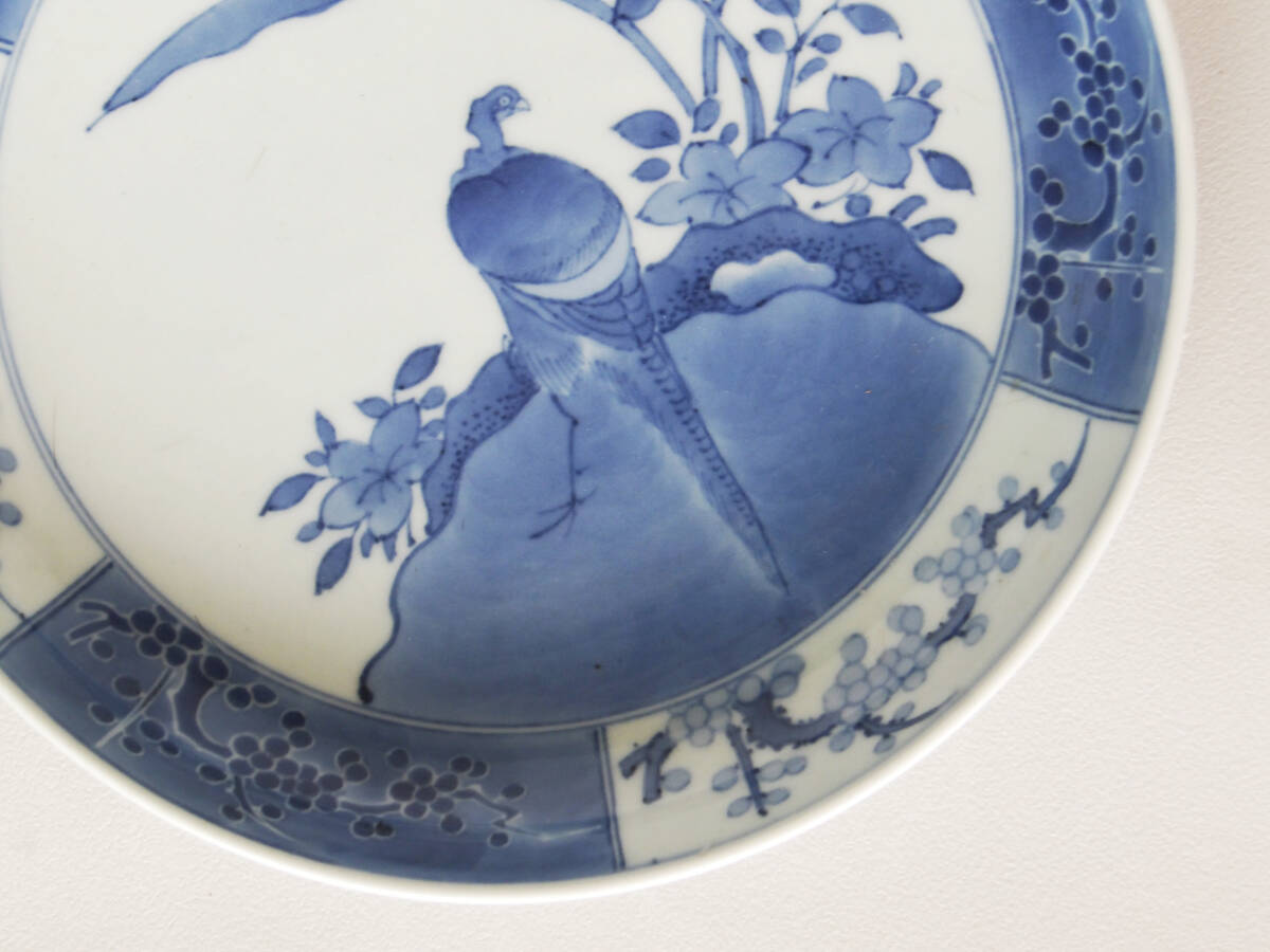 染付 花鳥の図 中皿_画像3