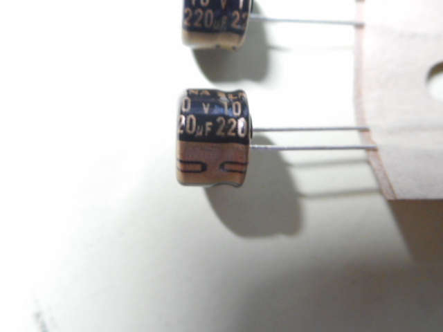 電解コンデンサー 220μF 10V ELNA R3A(音響用)シリーズ　10個セット　未使用品【複数セット有】【管36-1】_画像1