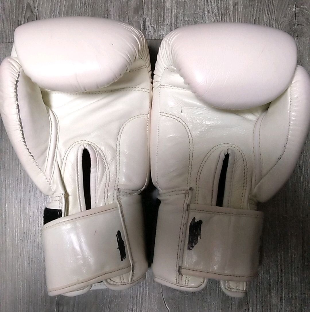 WINDY ボクシンググローブ　16オンス　ウィンディ_画像2